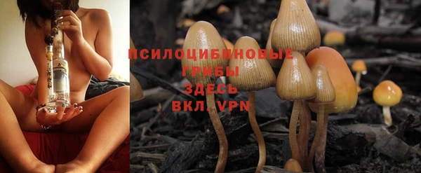 прущая мука Богородицк