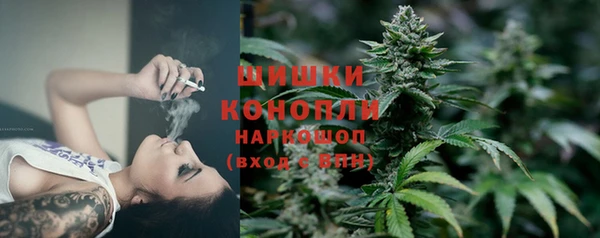 прущая мука Богородицк