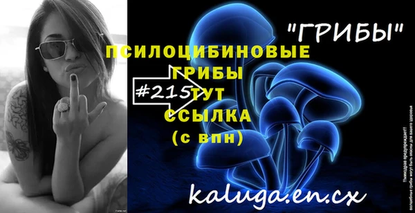 прущая мука Богородицк