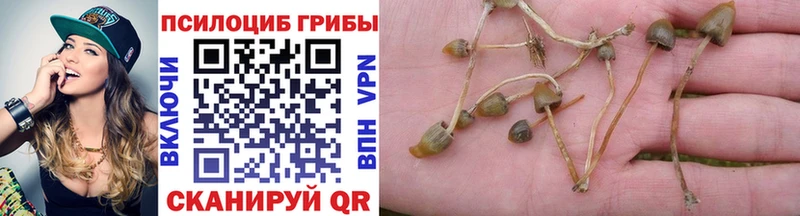 Псилоцибиновые грибы мицелий  Славгород 